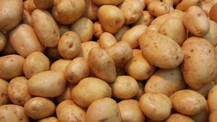 É Batata!!!!