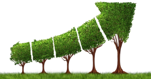 ESG ajuda o seu negócio a prosperar e brilhar