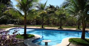 Para comemorar o início da Primavera trouxemos dicas de plantas para área da piscina
