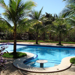 Para comemorar o início da Primavera trouxemos dicas de plantas para área da piscina