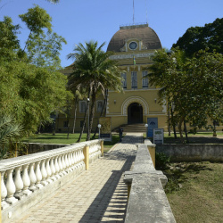 Museu de Astronomia e Ciências Afins - Rio de Janeiro (RJ)