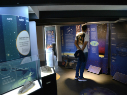 Museu de Astronomia e Ciências Afins - Rio de Janeiro (RJ)
